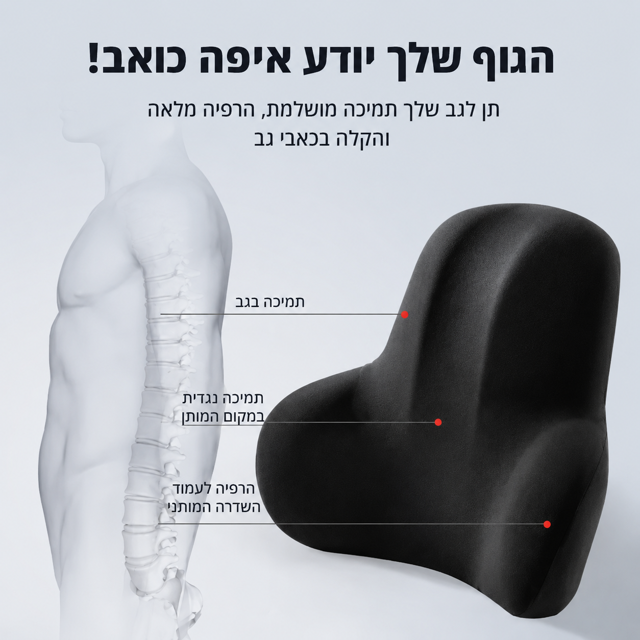 Mireqon comfort™ — תמיכה ארגונומית מלאה לגב