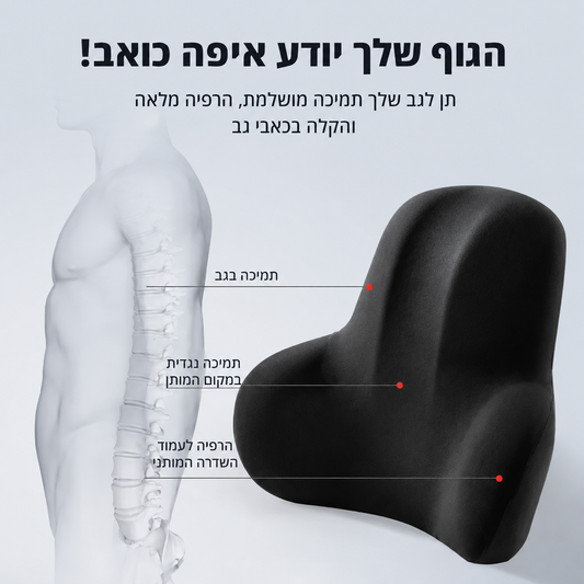 Mireqon comfort™ — תמיכה ארגונומית מלאה לגב